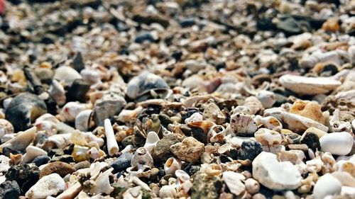 Close-up of stones