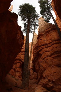 Low angle view of rock formation against sky