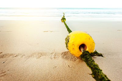 Close-up of yellow umbrella on beach against sky