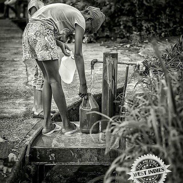 lifestyles, leisure activity, holding, casual clothing, focus on foreground, childhood, standing, rear view, men, girls, boys, elementary age, person, playing, outdoors, day, selective focus