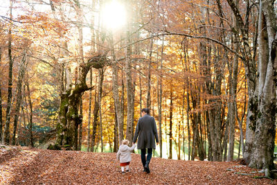 Rear view of man walking in forest