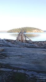 Driftwood on beach against clear sky