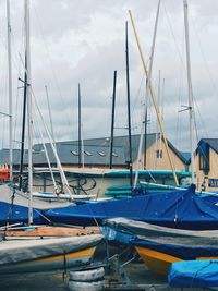 Sailboats moored in harbor