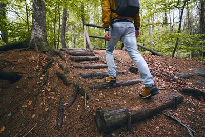 Low section of man standing on tree trunk in forest