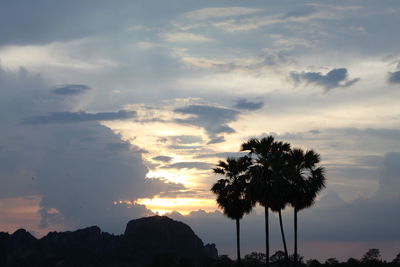 Silhouette trees against sky during sunset
