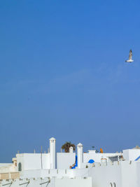 White washed buildings in the old medina of assilah