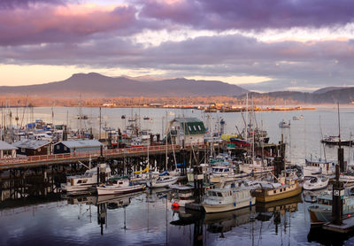 Boats moored at harbor