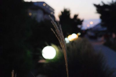 Defocused image of illuminated lights against sky at night