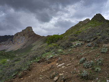 environment