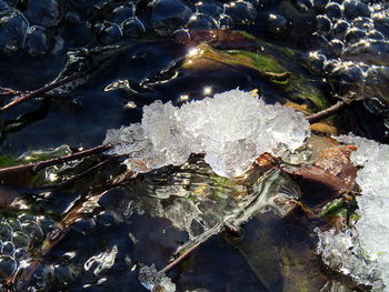 Close-up of water in lake