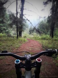 Close-up of bicycle on road in forest