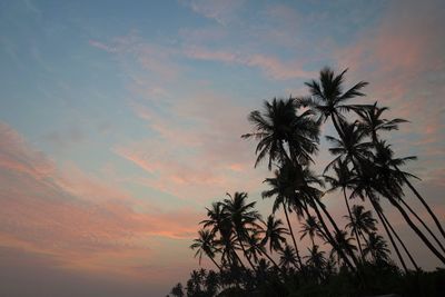 Low angle view of silhouette palm trees against sky