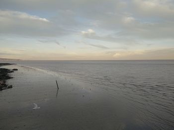 Scenic view of sea against sky at sunset