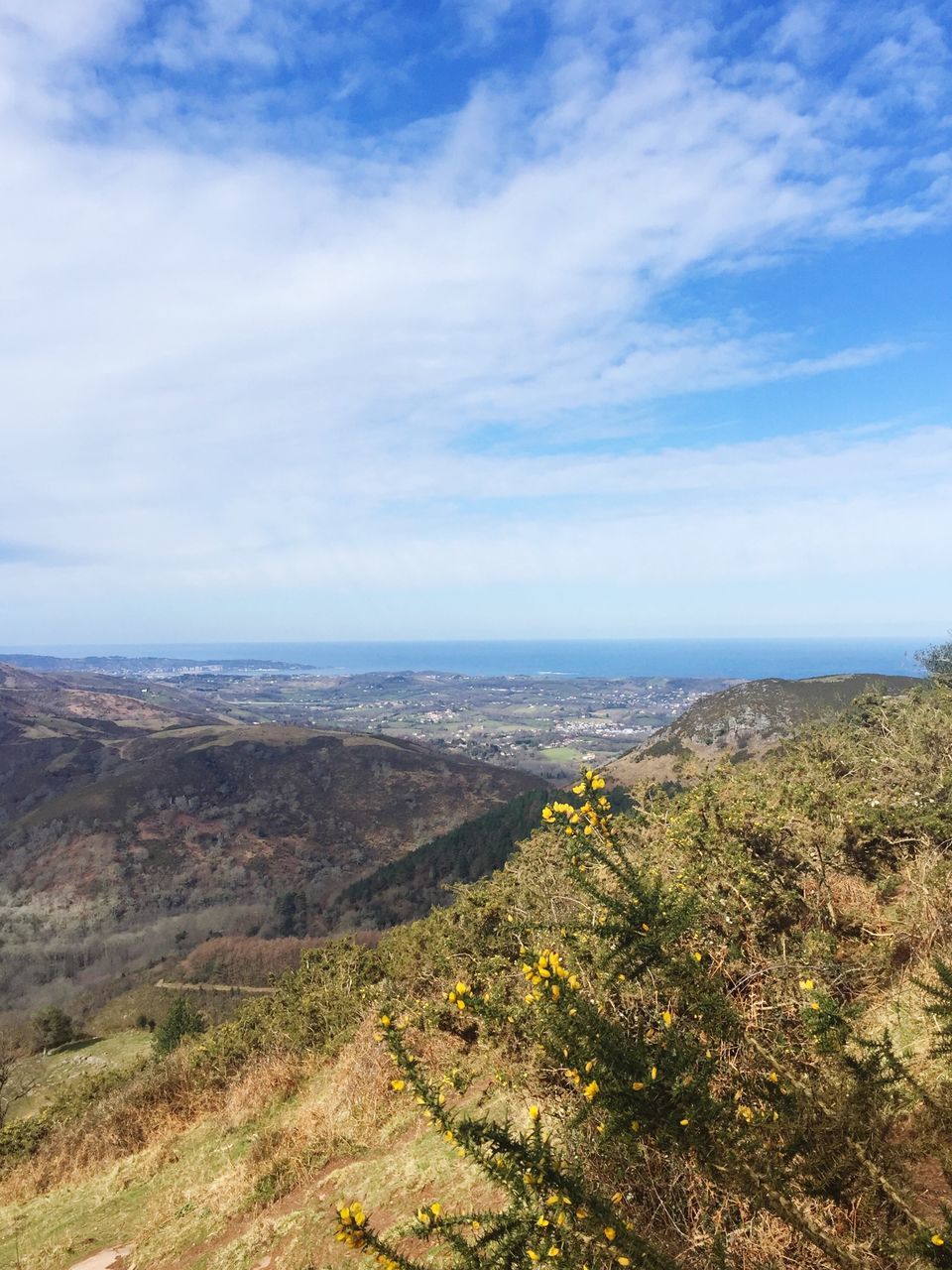 scenics, nature, tranquil scene, tranquility, beauty in nature, landscape, sky, day, outdoors, no people, sea, travel destinations, cloud - sky, horizon over water, plant, tree