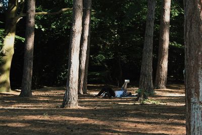 Woman sitting on tree trunk in forest