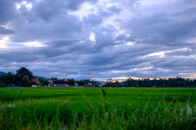 Scenic view of field against cloudy sky