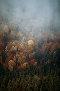 Background of mountain hills and morning fog at beautiful autumn foggy scenery	