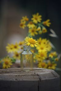 Close-up of yellow flower vase on table