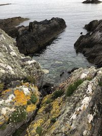 High angle view of rocks on sea shore