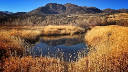 Scenic view of lake and mountains against sky