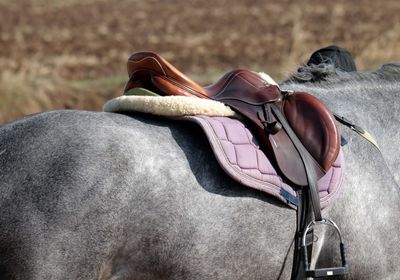 Close-up of horse riding