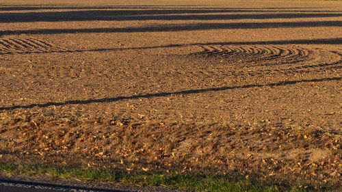 High angle view of field