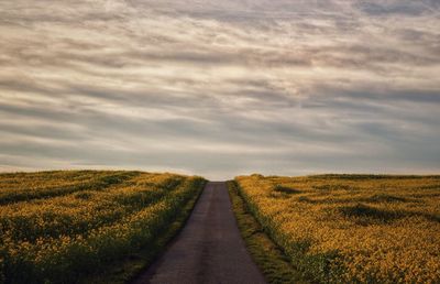 Dirt road passing through field against sky