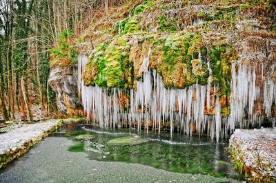 Scenic view of water