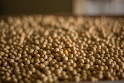 Close-up of coffee beans