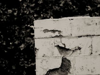 Close-up of brick wall