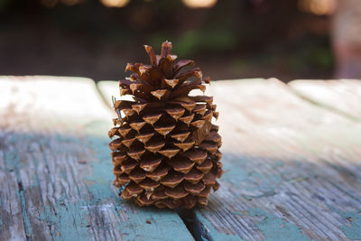 Close-up of pine cone on table