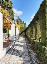 Empty chairs by trees against sky