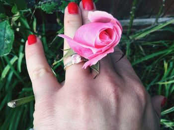 Cropped hand of woman with pink rose