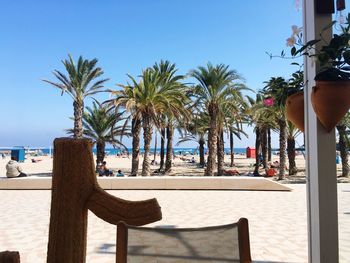 Palm trees on beach against clear blue sky