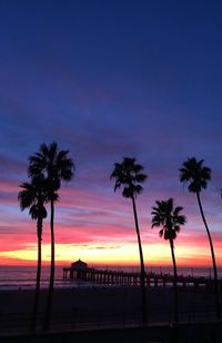 Silhouette palm trees on beach against sky at sunset