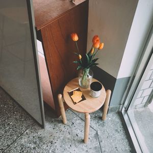 High angle view of potted plant on table at home