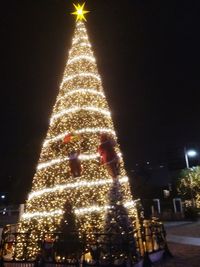 Low angle view of illuminated christmas tree at night