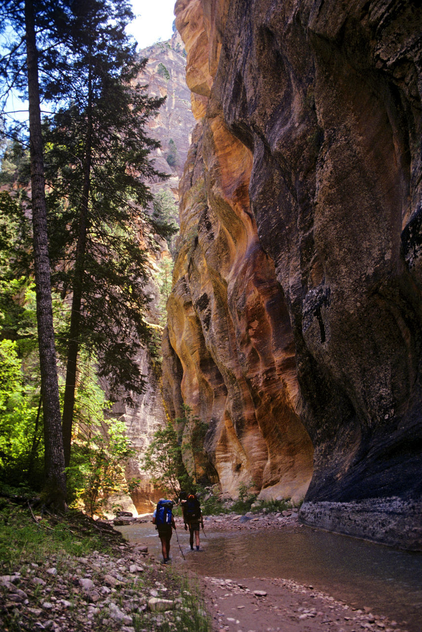 REAR VIEW OF PEOPLE WALKING ON ROCK