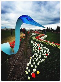 View of flowers against cloudy sky