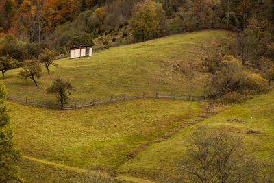 Scenic view of landscape