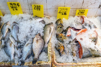 High angle view of seafood