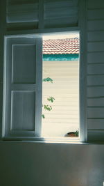 Closed window of building