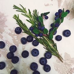 High angle view of blueberries with rosemary on table