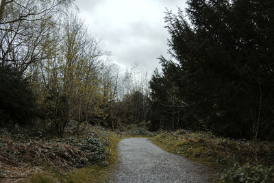 Road amidst trees against sky