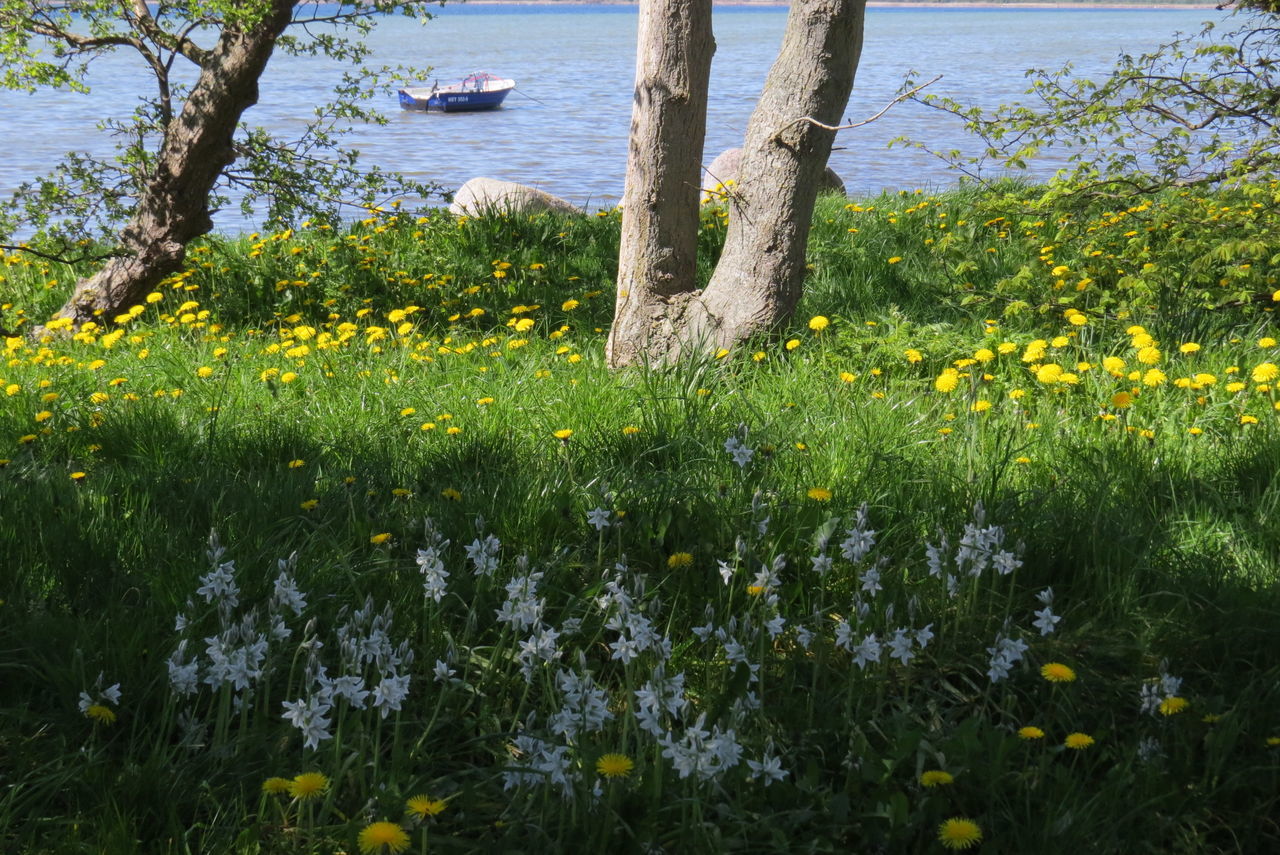 Boat on the water