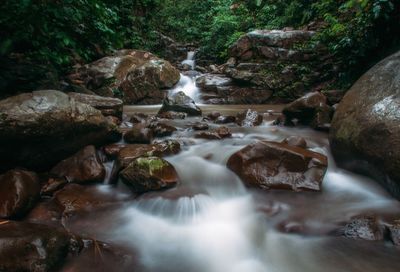 River flowing through rocks in forest