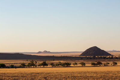 Scenic view of landscape against clear sky