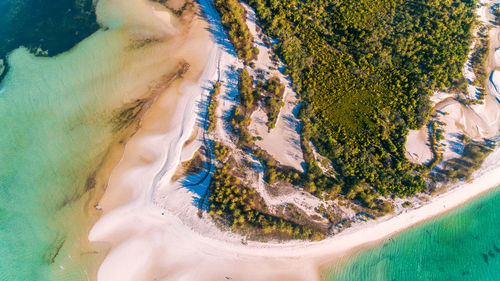 Utende beach area, mafia island