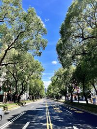 Road amidst trees against sky