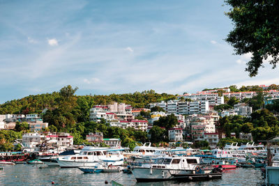 Boats moored at harbor by buildings against sky
